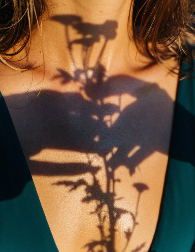 Une ombre de mains tenant des plantes